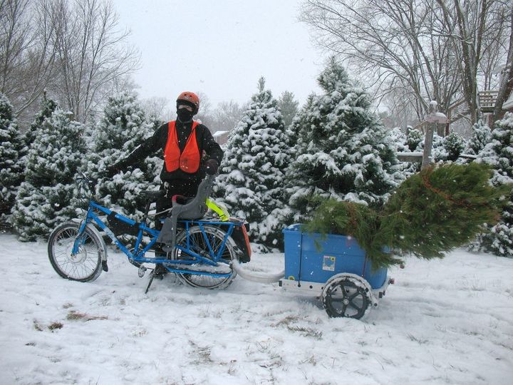 Man standing with cargo bike and trailer with Christmas tree. Snow on ground and Christmas trees in background.